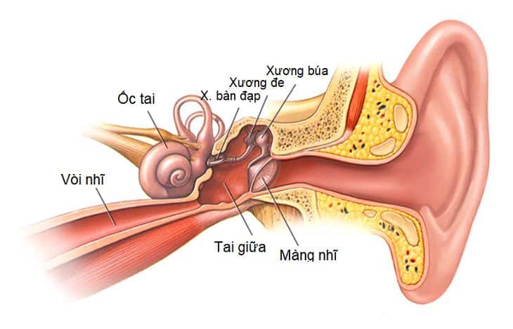 Viêm tai giữa là một trong những biến chứng nguy hiểm